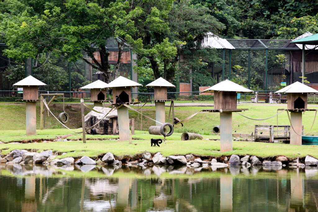 Parque Zoobotânico Joinville Santa Catarina Brasil