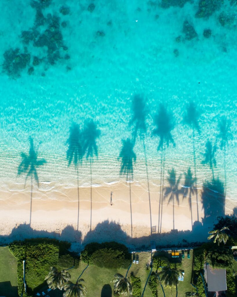 vista-aerea-dos-reflexos-das-palmeiras-nas-aguas-turquesas-mar-do-caribe