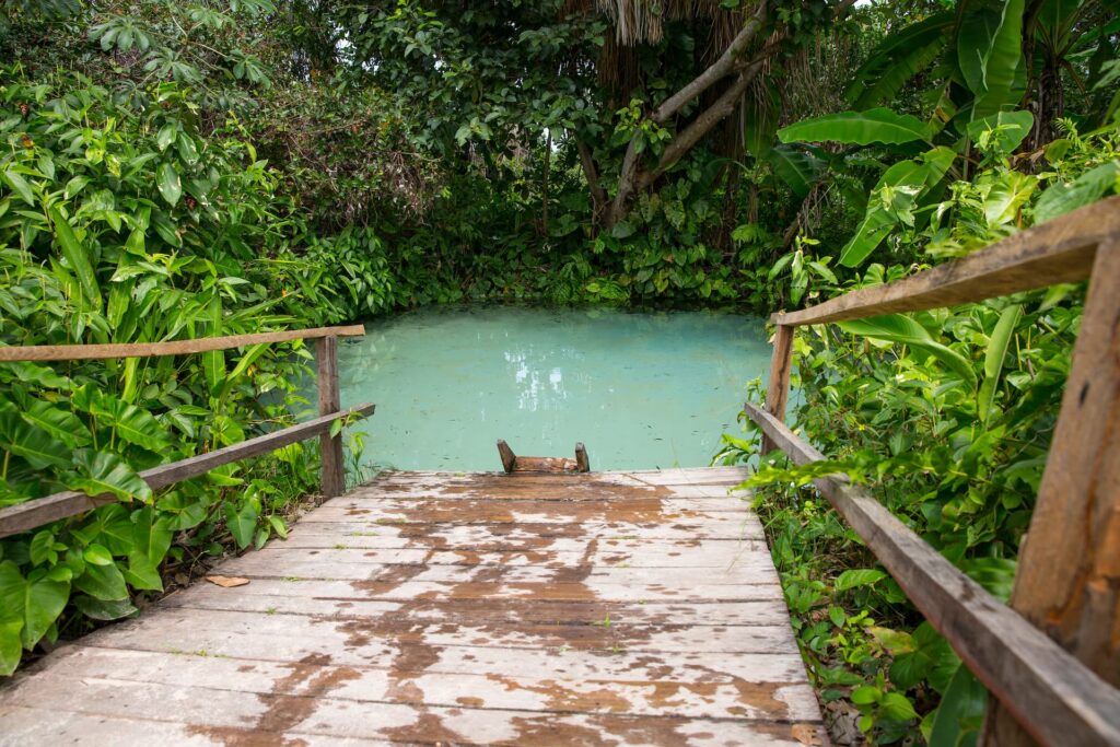 Paisagem natural do Jalapão com fervedouro em meio ao cerrado
