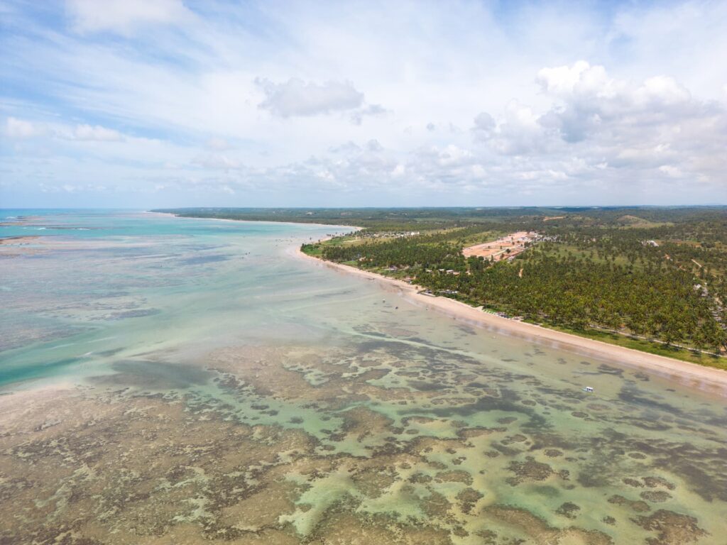 Vista aérea da Praia do Patacho, em Alagoas, com mar calmo, coqueiros e águas cristalinas