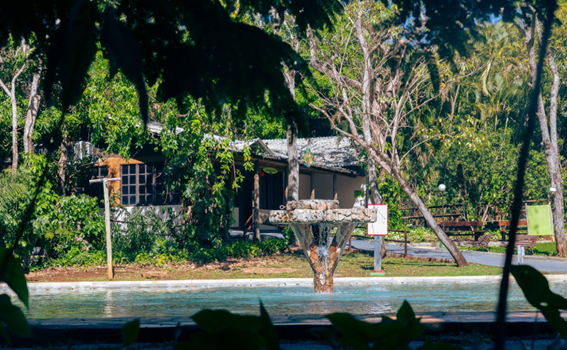 Chalé de madeira cercado por árvores densas, com uma pequena fonte de água em primeiro plano.