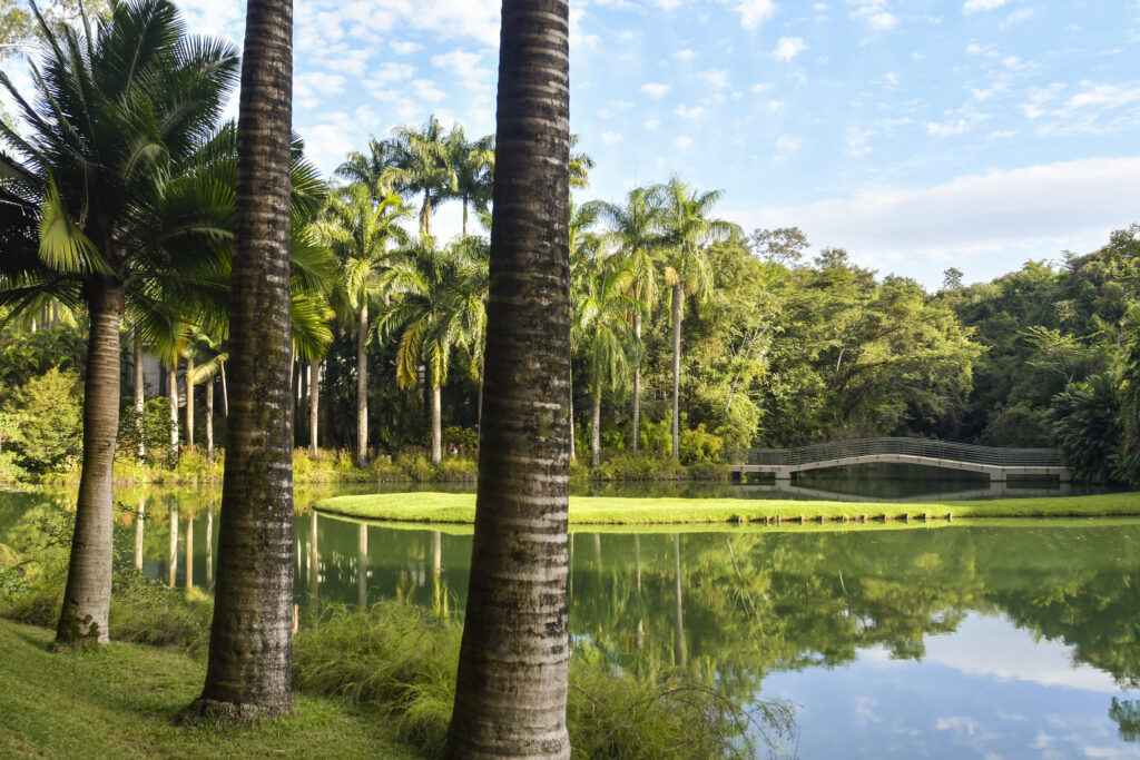 Escultura de arte contemporânea em meio aos jardins do Instituto Inhotim em Brumadinho